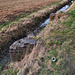 Erhaltene Seilbahnfundamente der ehem. Zeche Massener Tiefbau (Unna-Massen) / 22.02.2025
