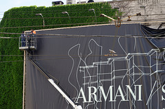 Armani, ouvriers et pigeon