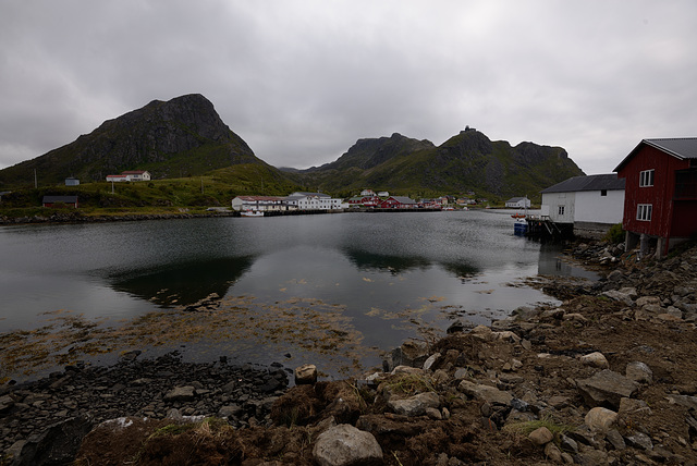 Lofoten - Langoya