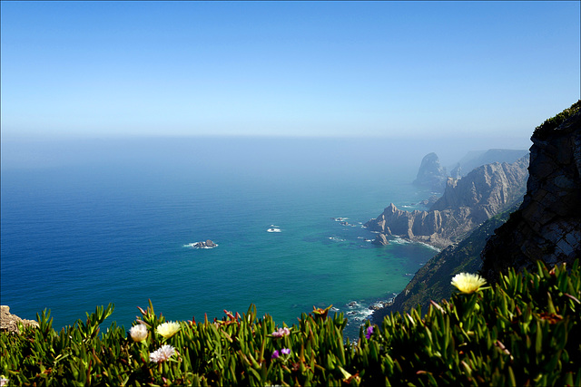 Cabo da Roca, Chorões