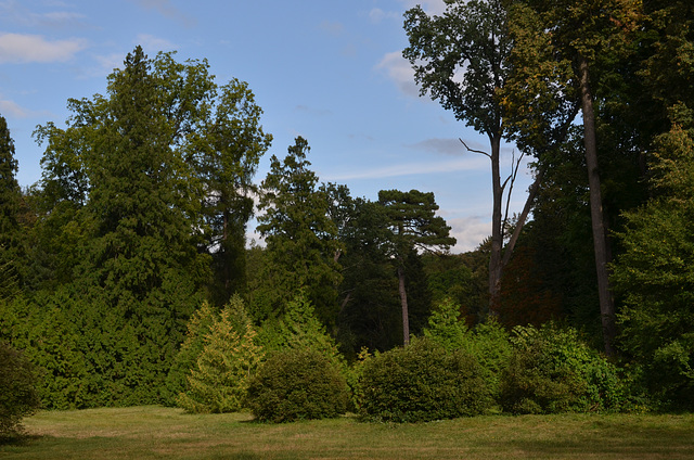 Тростянецкий дендропарк / Trostyanets Arboretum