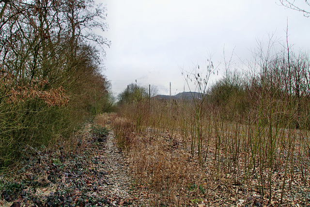 Ehemalige Trasse der RBH-Zechenbahn (Gelsenkirchen-Hassel) / 9.03.2019