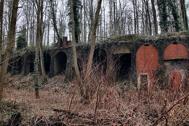 Erhaltene Mauerreste der ehem. Kokerei Neu-Iserlohn (Bochum-Langendreer) / 11.02.2023