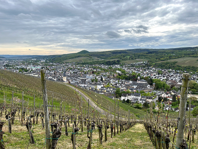 Blick auf Ahrweiler