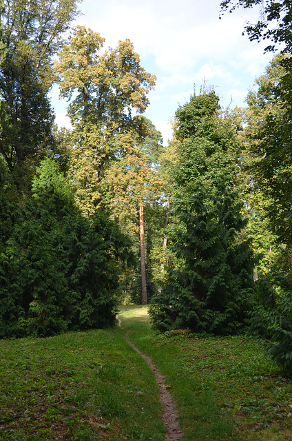 Тростянецкий дендропарк, Тропинка к озеру / Trostyanets Arboretum, Path to the Lake
