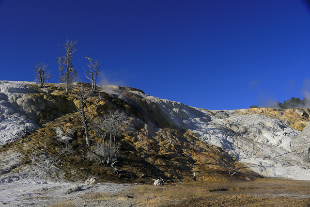 Palette Spring, Mammoth Hot Springs