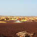 Ethiopia, Danakil Depression, Yellow-brown Surface of the Crater of Dallol Volcano.