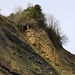 Cliff erosion