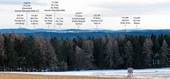 Aussicht Griesbach