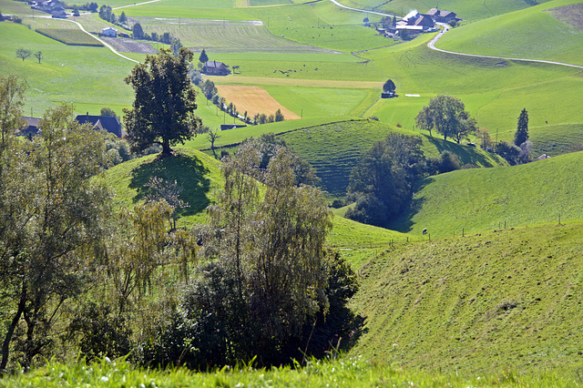 Emmental, heisst Hügel, und kleine Landwirtschaftsbetriebe