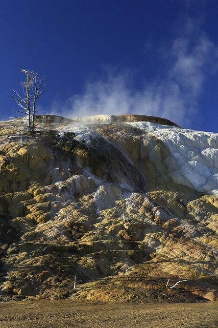 Palette Spring, Mammoth Hot Springs