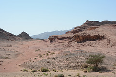 Israel, Park of Timna, HaPitriya and Rock Mushroom