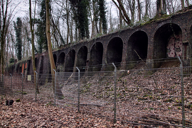 Kokerei Neu-Iserlohn, Fundamentreste der Koksofenbatterie (Bochum-Langendreer) / 11.02.2023