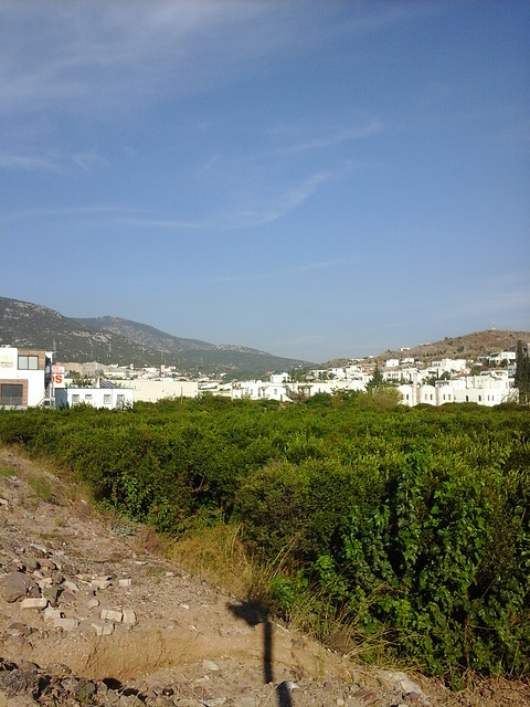 View of the valley