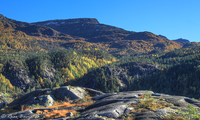 Autumn mountain