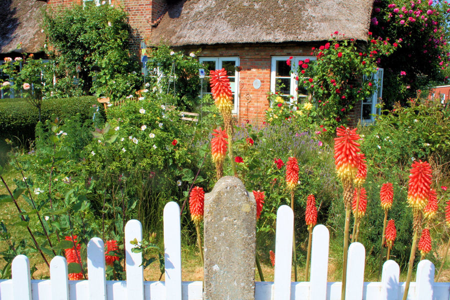 Garten mit Künstlerkate, Oldsum, Föhr