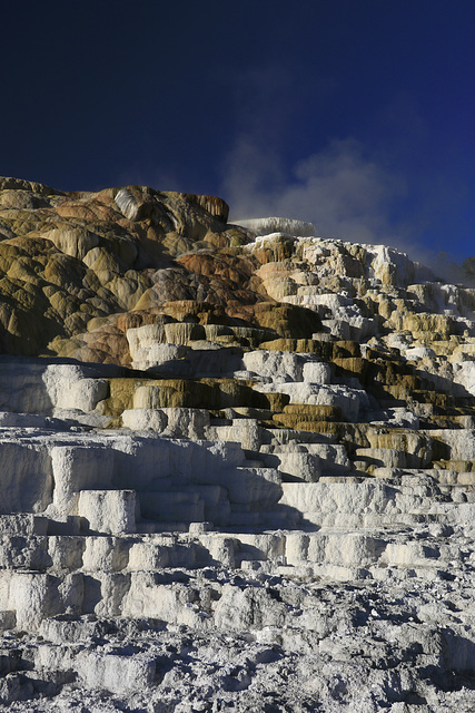 Palette Spring, Mammoth Hot Springs