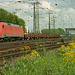 BÖ0001212