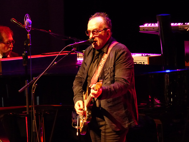 Elvis Costello