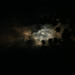 ...Conte nocturne au coeur de Forêt...