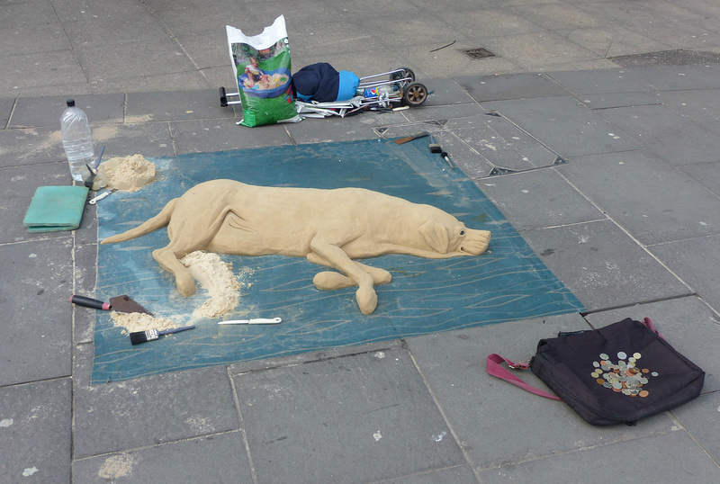 Sand Dog (3) - 15 March 2016