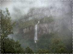 Instantes entre la niebla.!!!!!