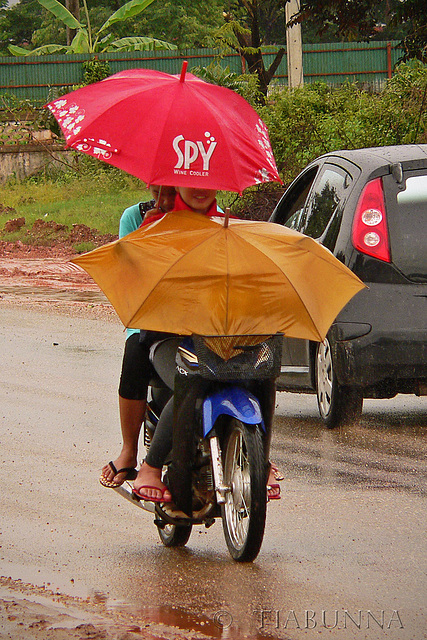 I spy umbrellas