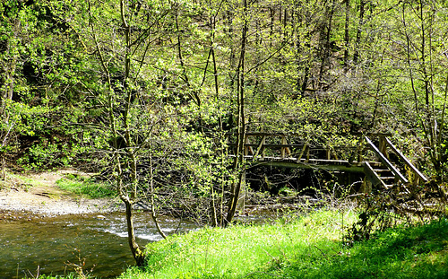 DE - Manderscheid - Lieser creek