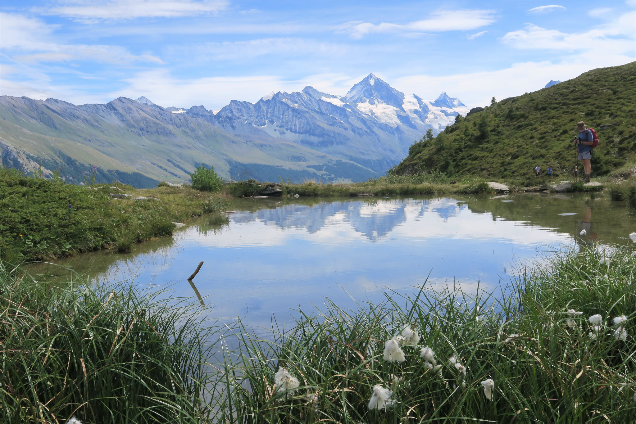 Paysage de montagne avec linaigrettes, vers Chemeuille, Valais (Suisse)