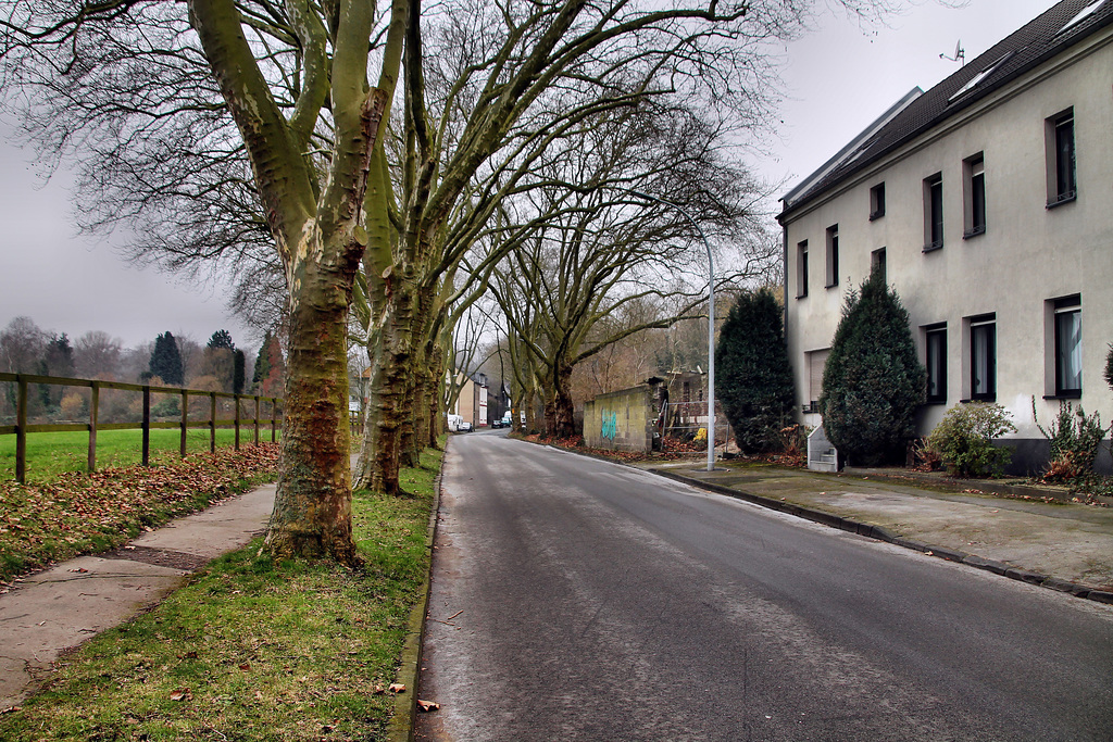 Schorlandstraße (Dortmund-Somborn) / 11.02.2023