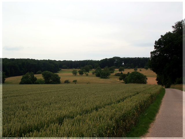 Kulturlandschaft bei Göbrichen