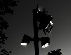 Spinnen am Abend Spinnen am Abend