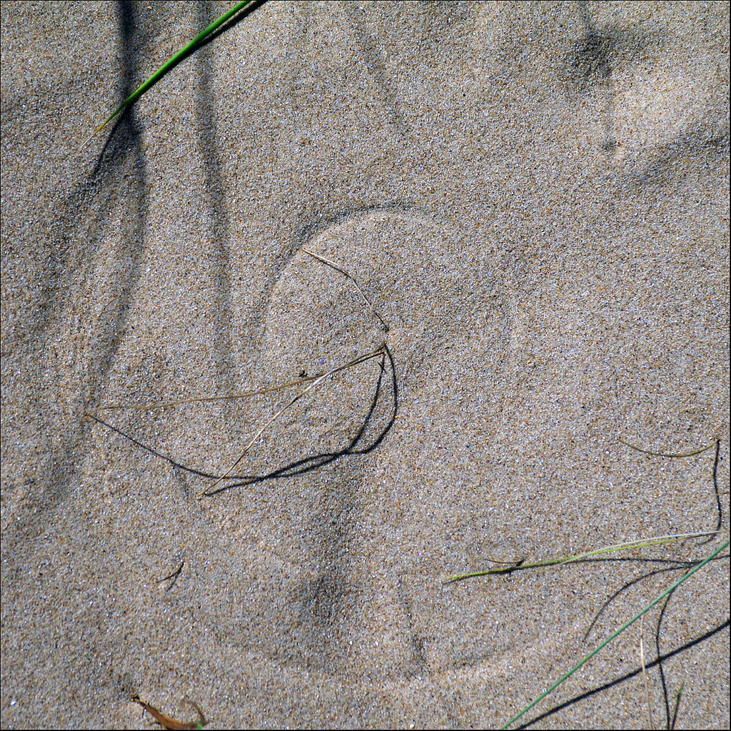 Cirkels in the sand.