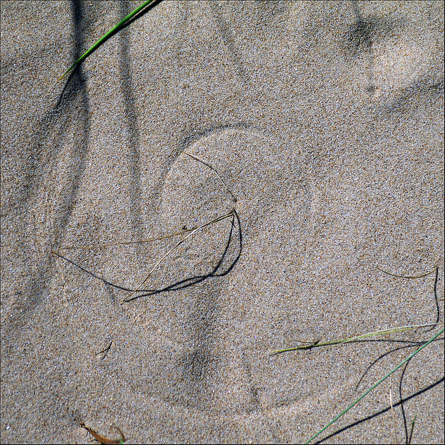 Cirkels in the sand.