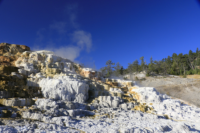 Palette Spring, Mammoth Hot Springs