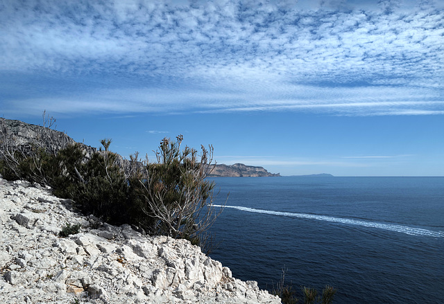 Calanque de Morgiou