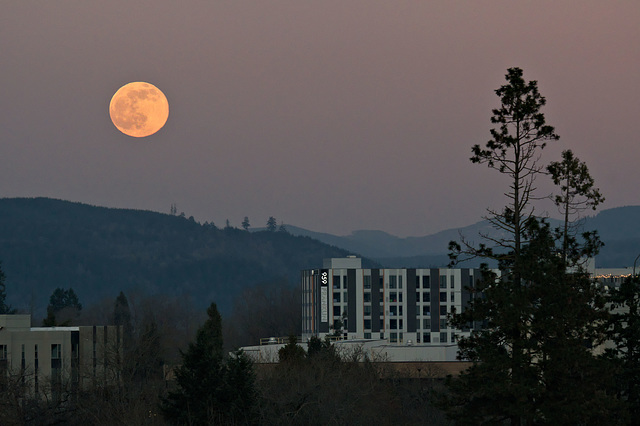 Winter Moonrise