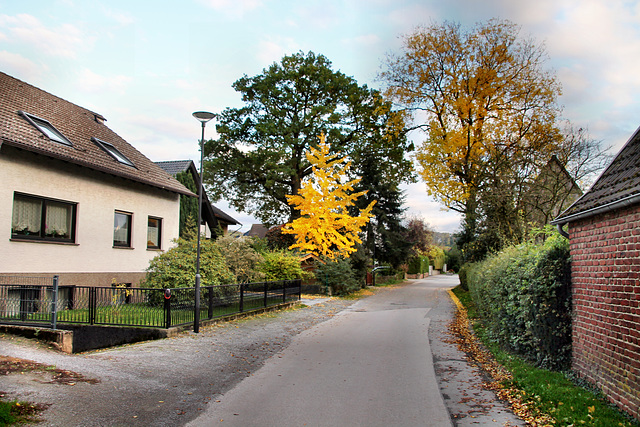 Steinbergweg (Hagen-Garenfeld) / 22.10.2022