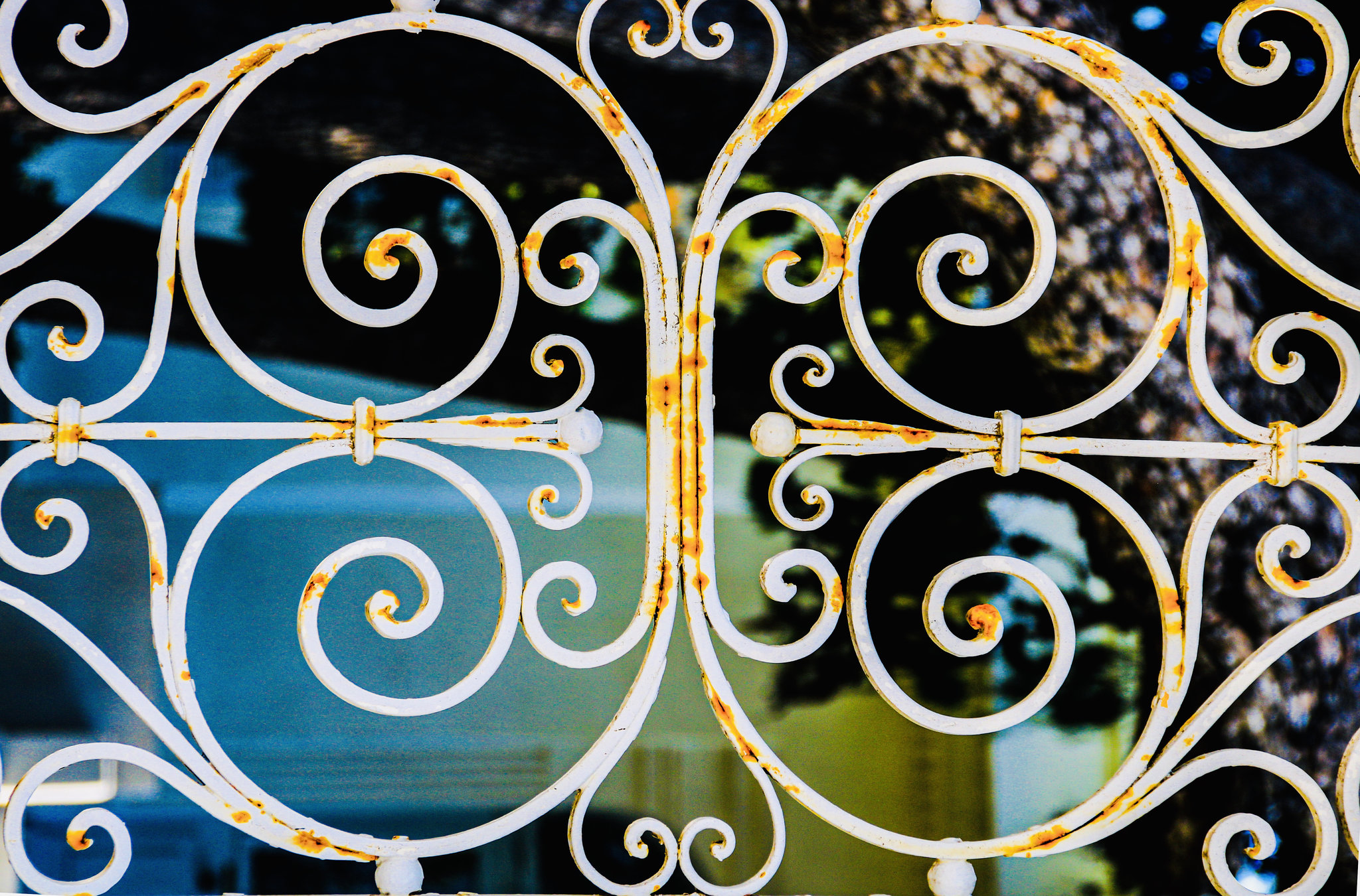A Fence for Friday