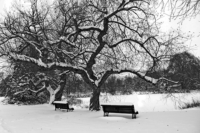 Happy cold Bench Monday