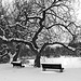 Happy cold Bench Monday