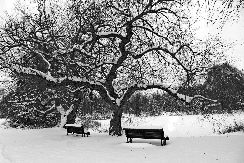 Happy cold Bench Monday