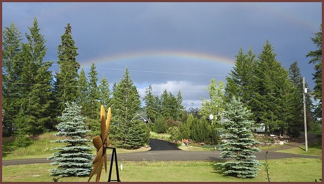 Front Yard on Sunday Night.