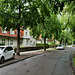 Ostfalenstraße (Siedlung Schüngelberg, Gelsenkirchen-Buer) / 18.08.2019