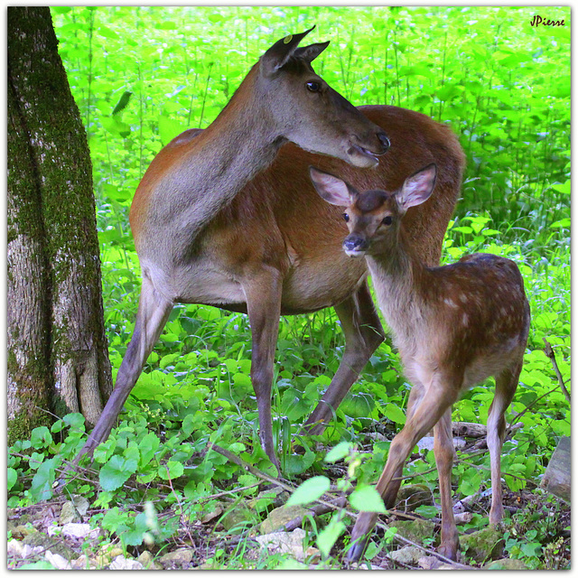 Il est beau mon bébé !