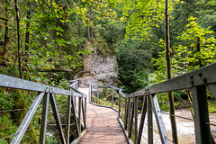 Eistobel-Isny-0013 Eistobel-Isny-0013