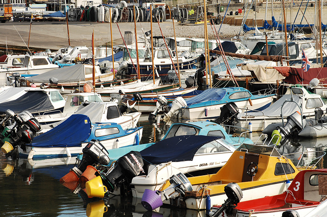 Lyme Harbour