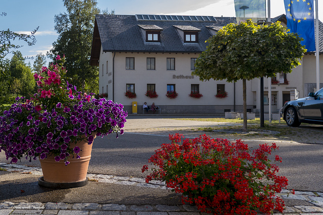 Blick zum Radhaus von Bernau
