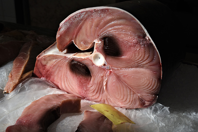 Tuna - In the fish market, Funchal