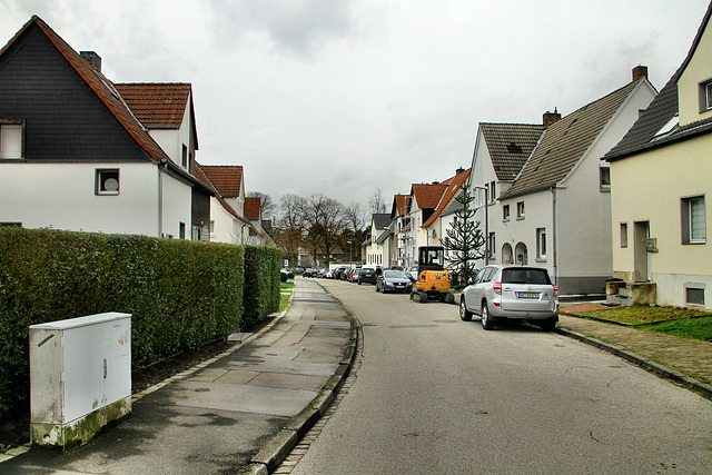 Arndtstraße (Gelsenkirchen-Hassel) / 9.03.2019